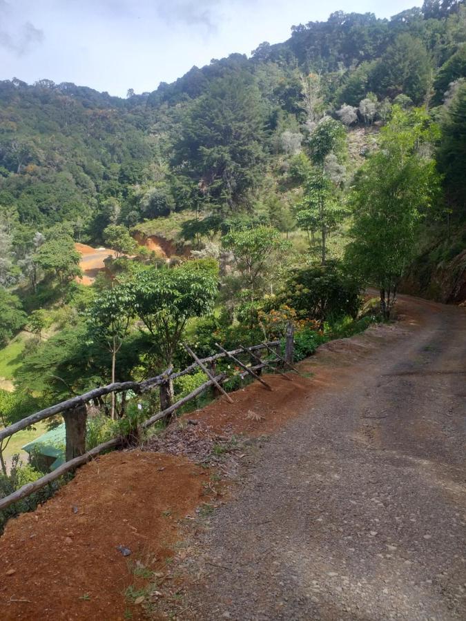 Las Cataratas Lodge San Gerardo de Dota Eksteriør billede