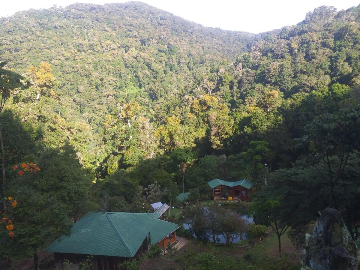 Las Cataratas Lodge San Gerardo de Dota Eksteriør billede