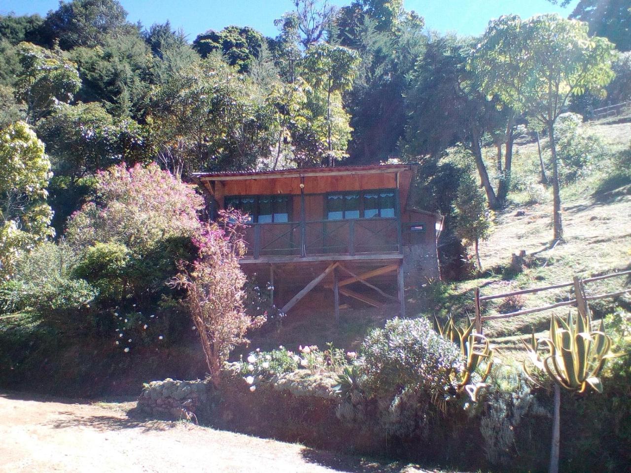 Las Cataratas Lodge San Gerardo de Dota Eksteriør billede